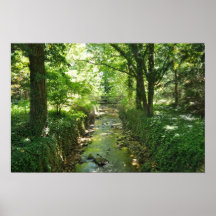 Bosque del agua poster