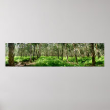Bosque del árbol de goma impresiones