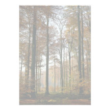 Bosque del bosque comunicados