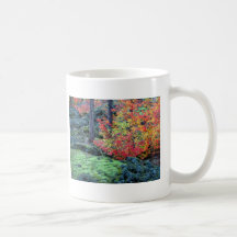 Bosque del Estado de Willamette, Oregon Tazas