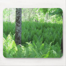 Bosque del helecho alfombrilla de ratón