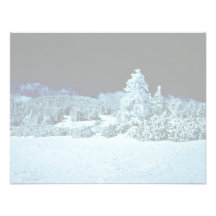 Bosque del invierno comunicado personalizado