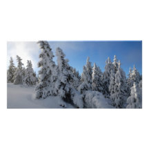 Bosque del invierno plantilla para tarjeta de foto