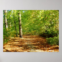 Bosque del otoño - impresión del poster