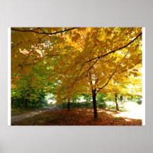 Bosque del otoño impresiones