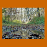 Bosque del otoño posters