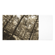Bosque del verano tarjeta personal