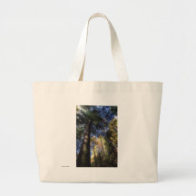 Bosque del Viejo-Crecimiento Bolsa