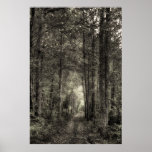 Bosque encantado impresiones