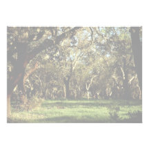 Bosque enorme, Portugal del bosque Anuncios