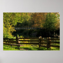 Bosque inspirador impresiones