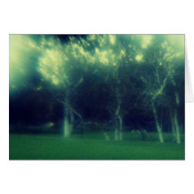 bosque misterioso tarjetón