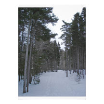 Bosque Nevado Comunicados
