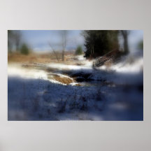Bosque Nevado Oregon, cala 7 del Fox Posters