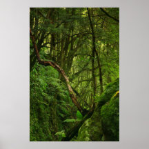 Bosque Poster