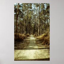Bosque Pôsteres