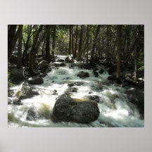 Bosque que rabia posters