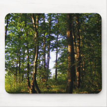 Bosque Tapetes De Ratones