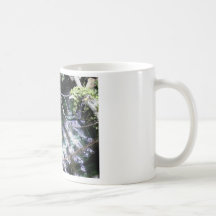 Bosque Taza De Café