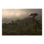 Bosque tropical de la nube en la puesta del sol impresiones fotográficas