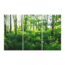 Bosque verde de la primavera impresión en lienzo estirada