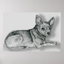 Bosquejo 1 de la chihuahua poster