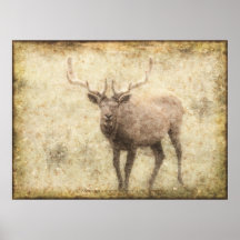 Bosquejo del arte del Wapiti en fauna envejecida d Poster