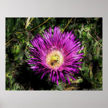 Bosquejo del color del ejemplo de la abeja y de la poster