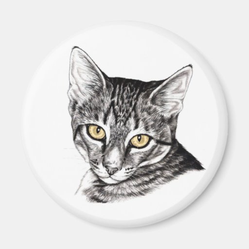 Bosquejo del gatito del Tabby Imán Para Frigorifico