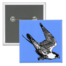 Bosquejo del halcón de peregrino pins