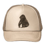 Bosquimano Gorras