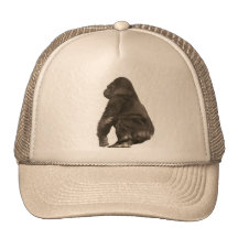 Bosquimano Gorras