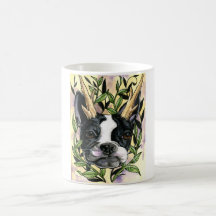 Bostalope Tazas