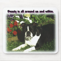 Boston Terrier:  Belleza todo alrededor Alfombrillas De Raton