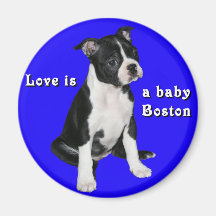 Boston Terrier:  El amor es un bebé Boston Imanes Para Frigoríficos