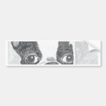 Boston Terrier Etiqueta De Parachoque