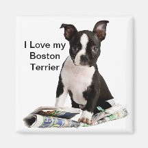 BOSTON TERRIER IMAN DE NEVERA