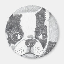 Boston Terrier Imán De Nevera