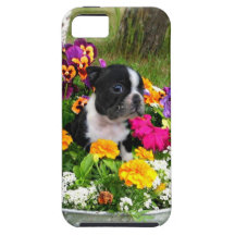 Boston Terrier iPhone 5 Cárcasas