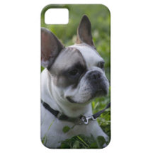 Boston Terrier iPhone 5 Case-Mate Protector