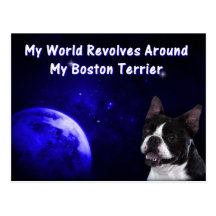 Boston Terrier:  Mi mundo Tarjetas Postales