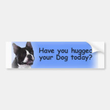 Boston Terrier:  ¿Usted ha abrazado su perro? Etiqueta De Parachoque
