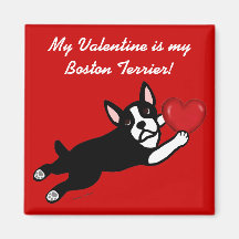 Boston Terrier y dibujo animado rojo del corazón Iman Para Frigorífico