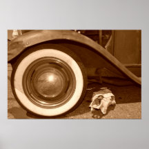 Bota de desierto poster