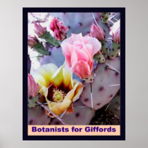 Botánicos para Giffords Poster