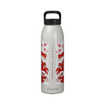 Botella china de la libertad de la astrología del  botallas de agua