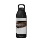 Botella de agua de señora Caroline Salmon Fly botellas de agua