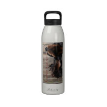 Botella de agua torpe de la libertad del organismo