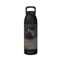 Botella del caballo botellas de agua reutilizables