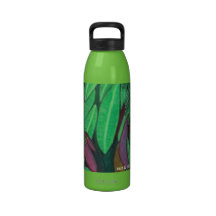 Botella mágica botella de beber